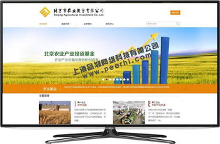 松江网站设计 松江九亭网站改版 松江网站维护 松江老城网站开发