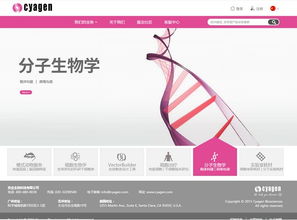 企业网站建设案例 赛业生物科技