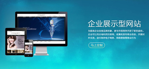 企业展示型网站建设的重要性与实践指南